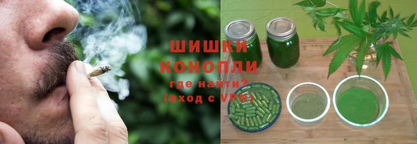 крисы Новозыбков
