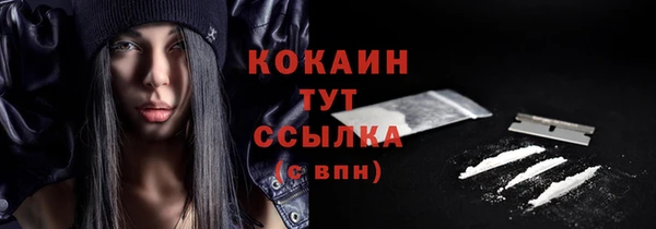 крисы Новозыбков