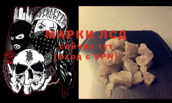 крисы Новозыбков