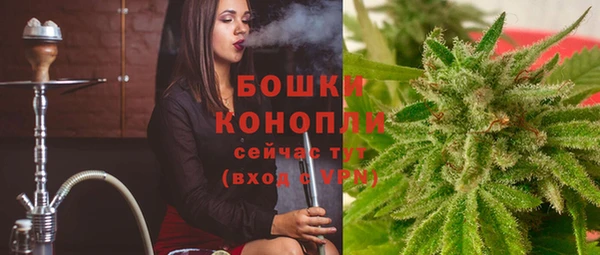 эйфоретик Новокубанск