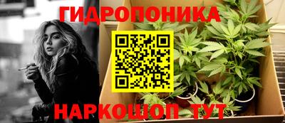 шишки Бийск