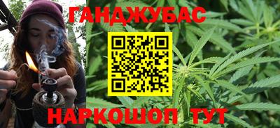 шишки Бийск