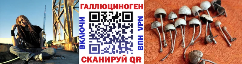 это какой сайт  Рассказово  Галлюциногенные грибы Magic Shrooms 