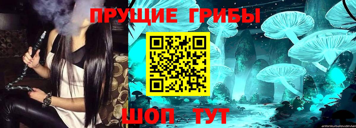 Галлюциногенные грибы MAGIC MUSHROOMS  Вход с VPN  Рассказово 